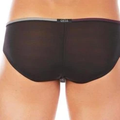 Gregg Homme 112103 Forplay Briefs Underwear