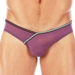 Gregg Homme 112103 Forplay Briefs Underwear