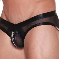 Gregg Homme 87103 Forbidden Brief
