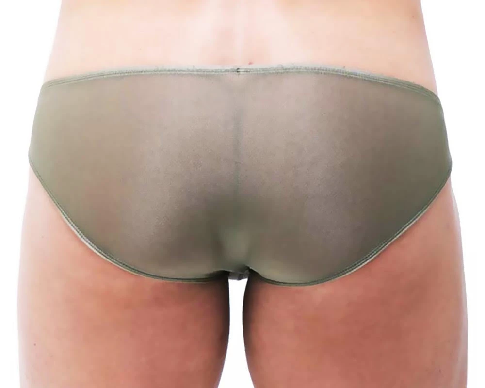 Gregg Homme 87403 Torrid Brief 4 Gregg Homme 87403 Torrid Brief