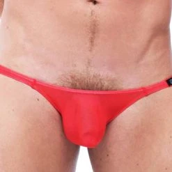 Gregg Homme 87403 Torrid Brief 13 Gregg Homme 87403 Torrid Brief