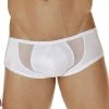 Cover Male CM208 Intimate Brief 2 Cover Male CM208 Intimate Brief