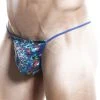 Daniel Alexander DAL012 G-String Best Sellers