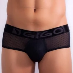Gigo G01001 Gauzy Brief