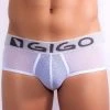 Gigo G01001 Gauzy Brief