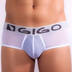Gigo G01001 Gauzy Brief