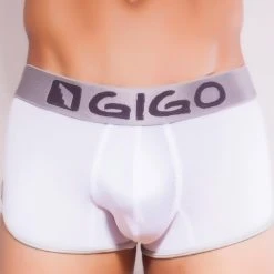 Gigo G02006 Sheen Boxer Short
