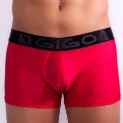 Underwear Gigo G04002 Lushness Boxer Long