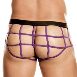 Good Devil GD6002 Purple Web Brief