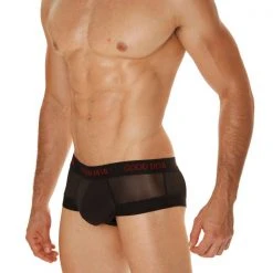 Good Devil GD722 Rotica Sheer Cheeky Brief