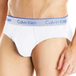 Calvin Klein NB1004-420 Hip Brief