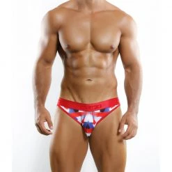 Otzi OT3608 Passionate Brush Strokes Bikini Brief