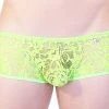 PetitQ PQ150007 Floral Lace Hipster Brief