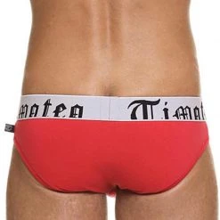 Timoteo UB1001R Classic Super Low Brief Underwear