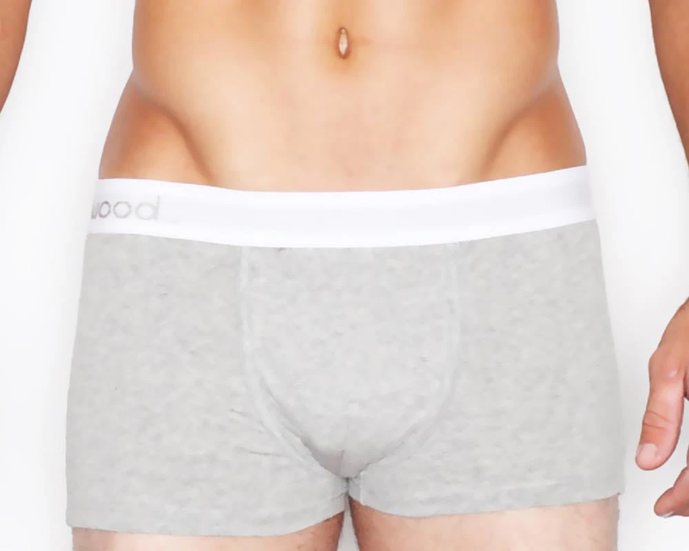 Underwear Wood 001 Original Boxer Brief Blue 3 Underwear Wood 001 Original Boxer Brief Blue