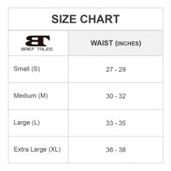 Brieftales Brief Tales BTJ004 Brief Mesh Underwear