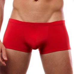 Cover Male CM108 Trunk 29 Cover Male CM108 Trunk