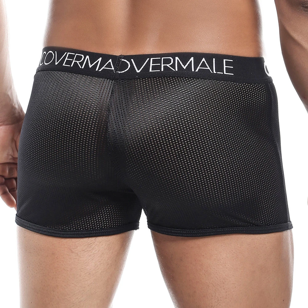 Cover Male CMG019 Schecht Trunk 6 Cover Male CMG019 Schecht Trunk