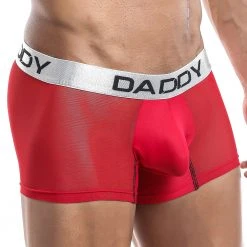Daddy Underwear Daddy DDG004 Boxer Trunk