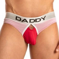 Daddy Underwear Daddy DDJ010 Wing Brief