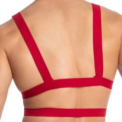 Daddy Underwear What's New Daddy DDU005 Hold On Hard Bodysuit