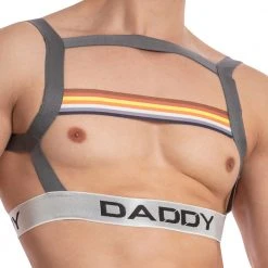 Daddy Underwear What's New Daddy DDU006 I Have Pride Bodysuit