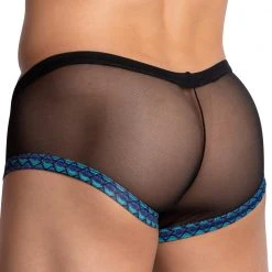 Daniel Alexander DAG007 See Through Bikini Brief What's New 12 Daniel Alexander DAG007 See Through Bikini Brief What's New