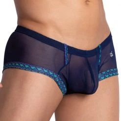 Daniel Alexander DAG007 See Through Bikini Brief What's New 13 Daniel Alexander DAG007 See Through Bikini Brief What's New