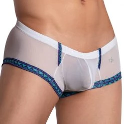 Daniel Alexander DAG007 See Through Bikini Brief What's New 14 Daniel Alexander DAG007 See Through Bikini Brief What's New