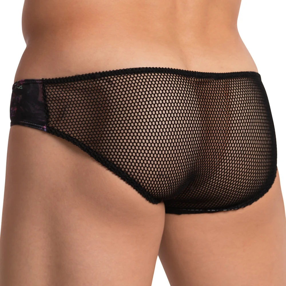 Daniel Alexander DAI073 Bikini 6 Daniel Alexander DAI073 Bikini