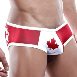 Daniel Alexander DAJ009 Brief