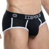 Edipous EDJ012 Brief