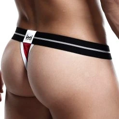 Mesh Underwear Feel FEK015 Thong