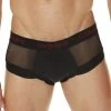 Good Devil GD622 Rotica Sheer Brief 2 Good Devil GD622 Rotica Sheer Brief