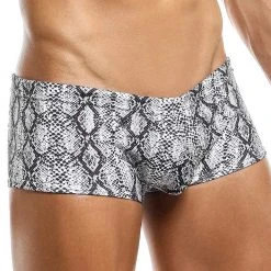 Intymen ING064 Python Trunk