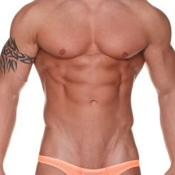 DMK MB After Dark Mesh Brief Underwear