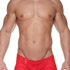 Male Basics MBL-001 Lace Mini Boy Short