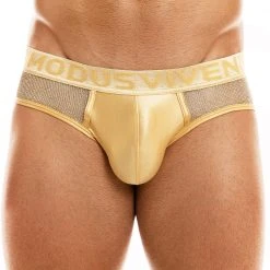 Modus Vivendi 01014 Armor Classic Brief What's New