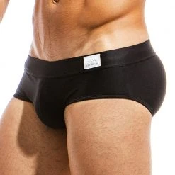 MODUS VIVENDI MS1811 Basics Brief