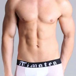 Timoteo UK1007 Luxury Mesh Scout Boxer Brief